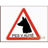 99895 - NV  =Pes= -bílá